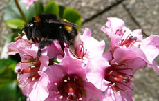 Bloots eerstmal fasthollen!