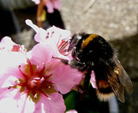 Fr&ouml;hst&uuml;ck!