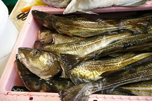 Dor geiht dat &uuml;m!