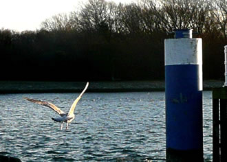 Un tsch&uuml;&szlig;!