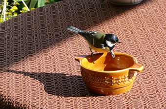 Endlich min egen Fodersch&ouml;ttel!