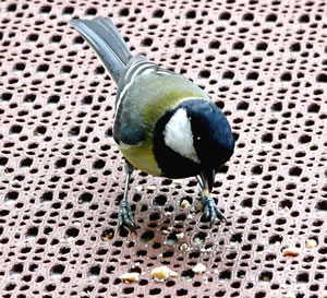 Een f&ouml;r mi, twee f&ouml;r de Kinner