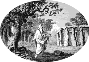 Druid in'n Ekenwoold. De Sch&ouml;rt hett he vull Misteln