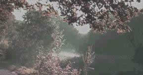 Noch d&uuml;&uuml;ster, avers bald...