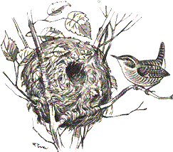 Hm. Is dat nu dat ultimative Nest? Dat vun den v&ouml;rv&ouml;rigen Macker weer villicht doch...?