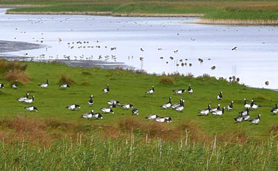 Klick op to'n Vergr&ouml;ttern!