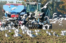 De Trecker hett veele Fans