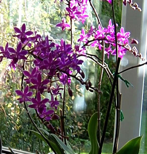 Hier is noch orrig wat dran an Nummer 2. -- Klick op to'n Vergr&ouml;ttern!