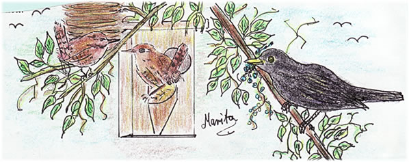 Teknen: Marita Pollak