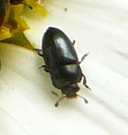 Foto: Antje He&szlig;ler