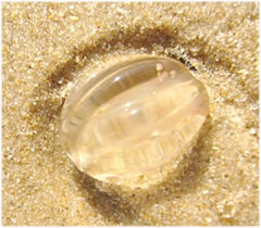 Klick op to'n Vergr&ouml;ttern!