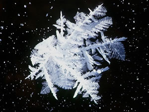 Sneekristall, de witt uts&uuml;ht