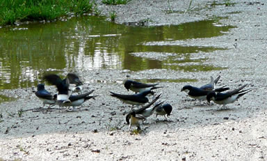 Klick op to'n Vergr&ouml;ttern!