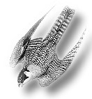 An't Nest: "Mami, woneem kaamt eentlich de ganzen M&uuml;&uuml;s her?"