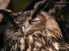 ...un gaaanz n&uuml;sselig