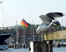 S&uuml;ht ut, as maak de M&ouml;&ouml;v en Knix v&ouml;r de d&uuml;&uuml;tsche Fahn! Is de M&ouml;&ouml;v villicht en Footballfan?