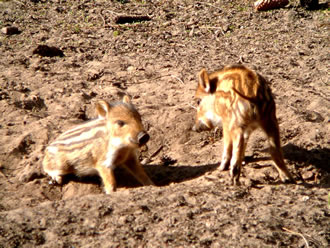 Warrst m&ouml;&ouml;d?  -- Klick op to'n Vergr&ouml;ttern!