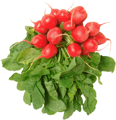 Damit Se ok morgen noch...