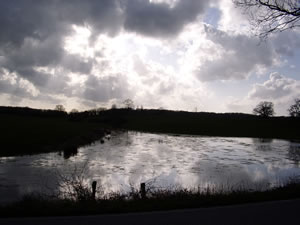 An'n Foot vun'n Kn&uuml;ll