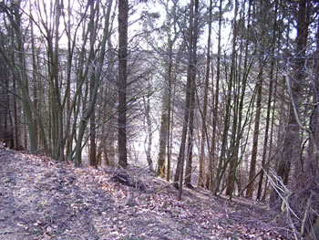 Buten st&ouml;rrt dat dal