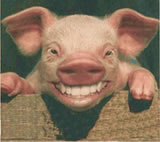 Schm&uuml;sterfarken