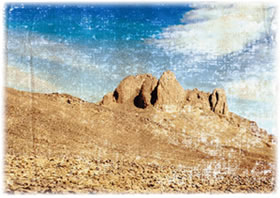 In de W&ouml;&ouml;st